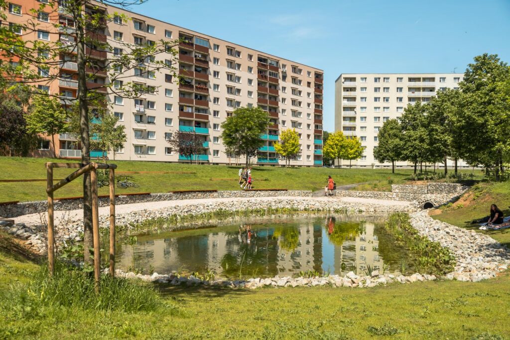 Artificial pond at Agátka. PHOTO: Lukáš Patrik/Matej Cagala