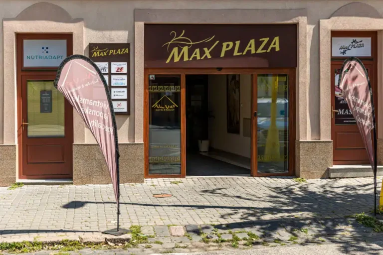 maxplaza hotel trnava